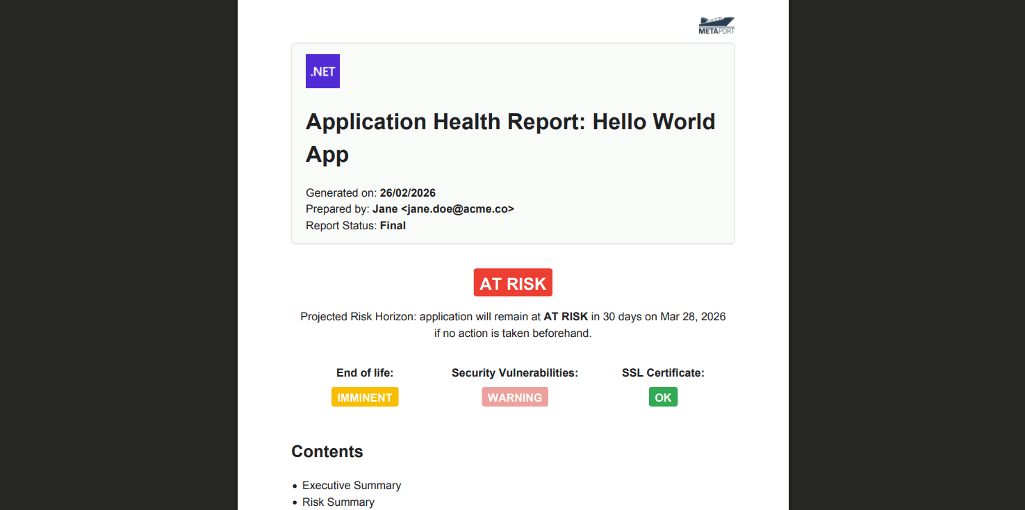 Application health report PDF.